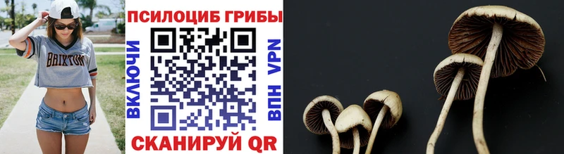 Галлюциногенные грибы Magic Shrooms  Узловая 